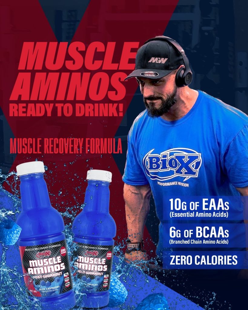 Muscle Amino RTD